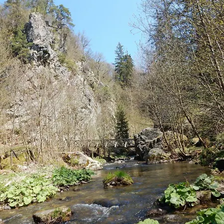 Frankenwald Chalets Haus Hans Chalet Wilhelmsthal